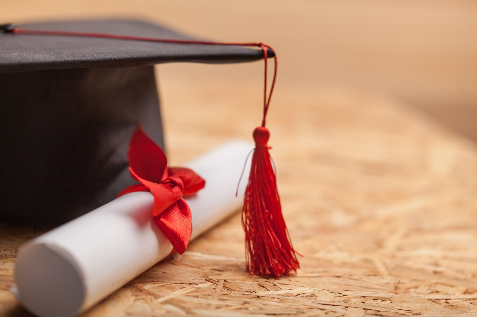 I Lost My High School Diploma!: A Step-by-Step Guide on How to Replace It Fast